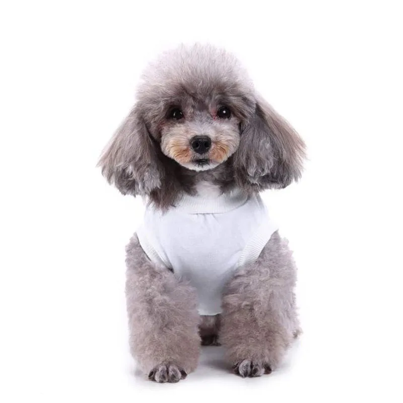 2023 Летняя одежда для собак Однотонный жилет для собак Пустая рубашка для щенка с низом Мягкая одежда для маленькой средней собаки Чихуахуа Ropa Perro Изображение 1